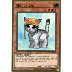 YGO MGED-EN006 PGR Rescue Cat