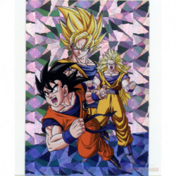 Z01 Crystal Chard Card Goku...