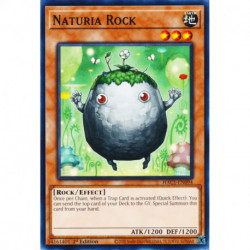 YGO HAC1-EN094 C Naturia Rock