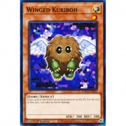 YGO HAC1-EN013 DnpR Kuriboh...