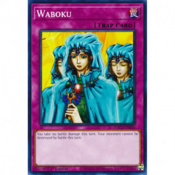 YGO HAC1-EN026 DnpR Waboku