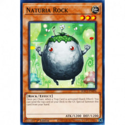 YGO HAC1-EN094 DnpR Naturia...