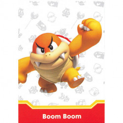 056 ENEMY CARD Boom Boom