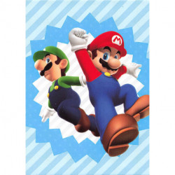 109 GROUP CARD Mario & Luigi