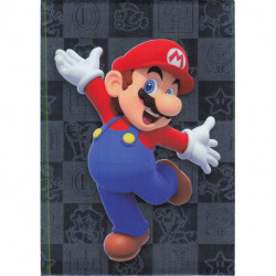 163 SILVER CARD Mario Super...