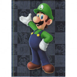 164 SILVER CARD Luigi Super...