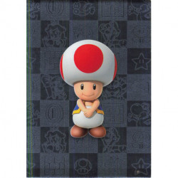 166 SILVER CARD Toad