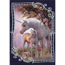 C1 Carte Licornes / Unicorns