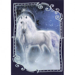 C2 Carte Licornes / Unicorns