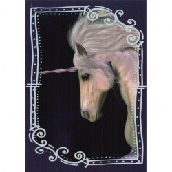 C3 Carte Licornes / Unicorns