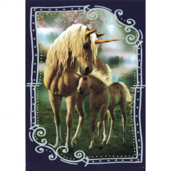 C4 Carte Licornes / Unicorns