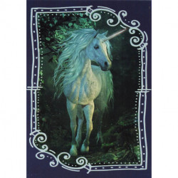 C5 Carte Licornes / Unicorns
