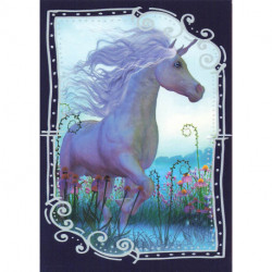 C7 Carte Licornes / Unicorns