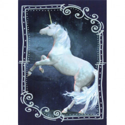 C9 Carte Licornes / Unicorns
