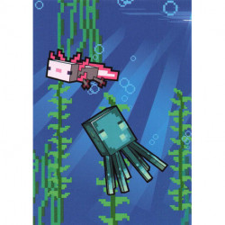 151 BIOME CARD  Underwater -1-