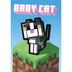 163 BLOCK CARD  Baby Cat