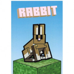 169 BLOCK CARD  Rabbit