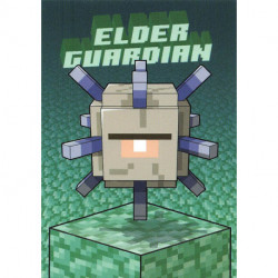 176 BLOCK CARD  Elder Guardian