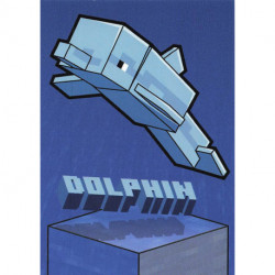 177 BLOCK CARD  Dolphin