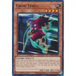 YGO DIFO-EN094 C Crow Tengu