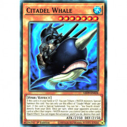 YGO LED9-EN026 C Citadel Whale