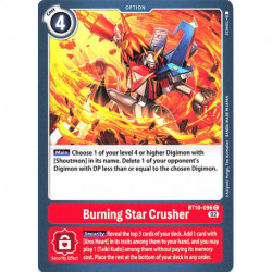Digimon TCG BT10-096...