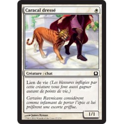 MTG 027/274 Trained Caracal