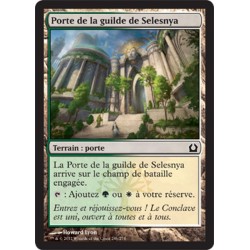 MTG 246/274 Cancello della...