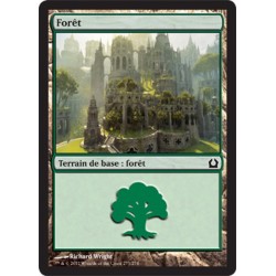 MTG 273/274 Foresta