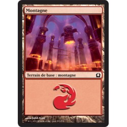 MTG 265/274 Montagna