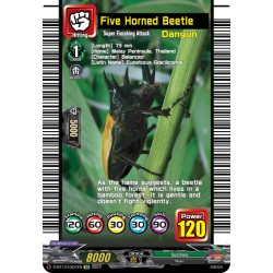 CFV D-BT13/EX07EN EX Five Horned Beetle