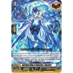 DZ-BT01/026EN Spiritual King of Aquatics, Idosfaro