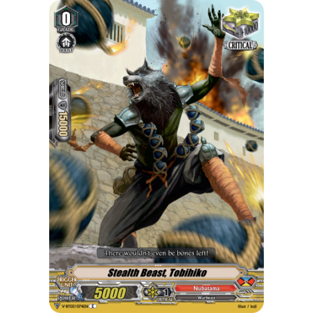 Vanguard_TCG_card_V-BT03_074EN_C_Stealth_Beast_Tobihiko_Miyaji_Academy_CF_Club