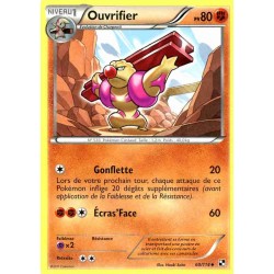 Pokémon 60/114 Ouvrifier Peu commune Noir & Blanc Noir & Blanc