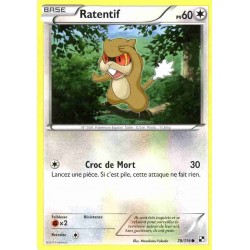 Pokémon 78/114 Ratentif Commune Noir & Blanc Noir & Blanc
