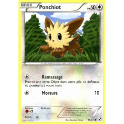 Pokémon 80/114 Ponchiot Commune Noir & Blanc Noir & Blanc