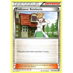 Pokémon 101/114 Professeur Keteleeria Peu commune Noir & Blanc Noir & Blanc