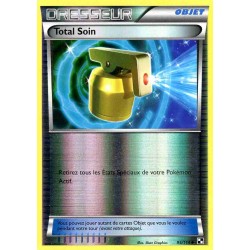 Pokémon 95/114 Total Soin REVERSE Noir & Blanc Noir & Blanc