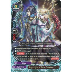 Buddyfight card Foil D-BT01/0030EN Magic Knights of Bonds, Dunkelheit & Licht  Foil /R  Monster 