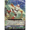 Vanguard_TCG_card_D-VS05_080_RRR_Megacolony_Battler_M_V_Clan_Collection_Vol.5