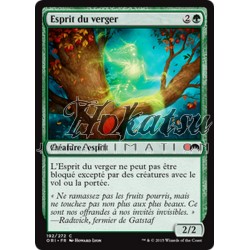 MTG 192/272 Spirito del...