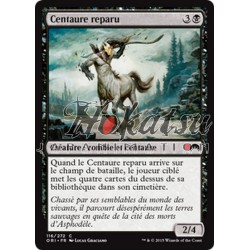 MTG 116/272 Centauro...