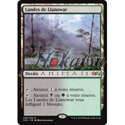 MTG 248/272 Distese di...