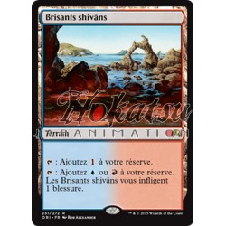 MTG 251/272 Barriera di Shiv