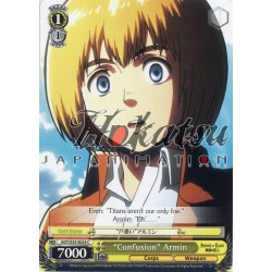 AOT/S35-E024 Confusion Armin