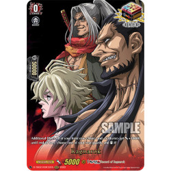 Vanguard_TCG_card_D-TB02_RGR12EN_RGR_Ragnarok_Record_of_Ragnarok