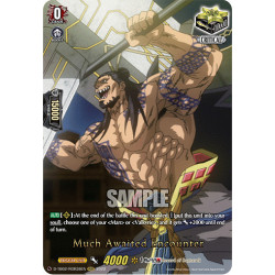 Vanguard_TCG_card_D-TB02_RGR38EN_RGR_Much_Awaited_Encounter_Record_of_Ragnarok