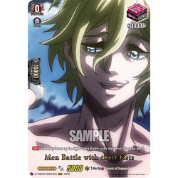 Vanguard_TCG_card_D-TTD02_RGR13EN_RGR_Men_Battle_with_their_Fists_Record_of_Ragnarok