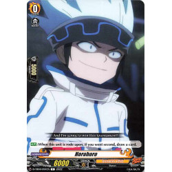 Vanguard_TCG_card_D-TB03_091EN_C_Horohoro_SHAMAN_KING