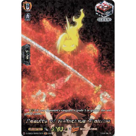 Vanguard_TCG_card_D-TB03_SKR073EN_SKR_Results_of_Hellacious_Training_SHAMAN_KING